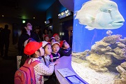 お別れ遠足