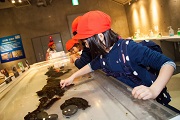 お別れ遠足